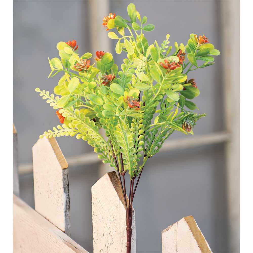 Coral Buds Succulent Bush