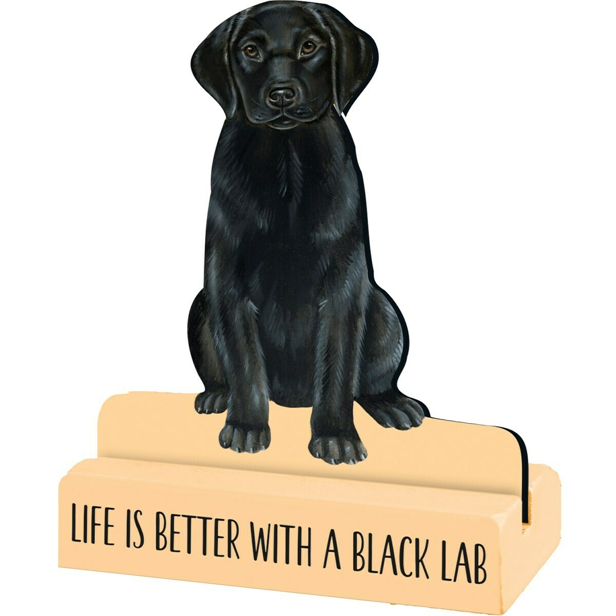 Black Lab Stand Up