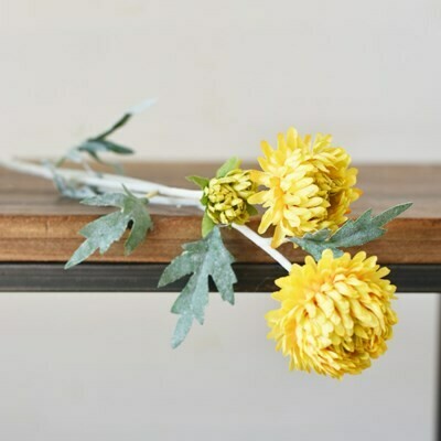 Tall Yellow Chrysanthemum Stem
