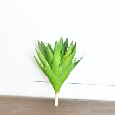 Soft Aloe Pick