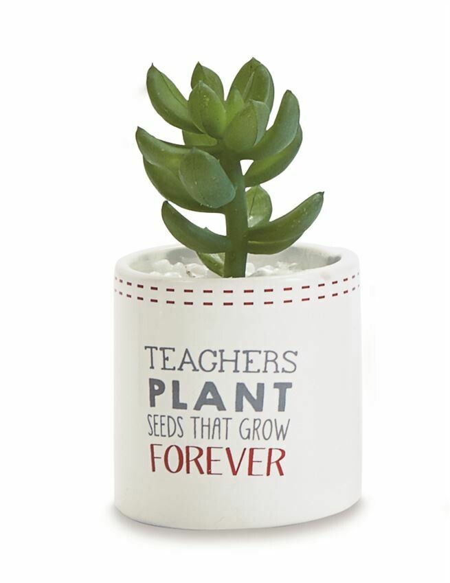 Faux Succulent Teacher Pot