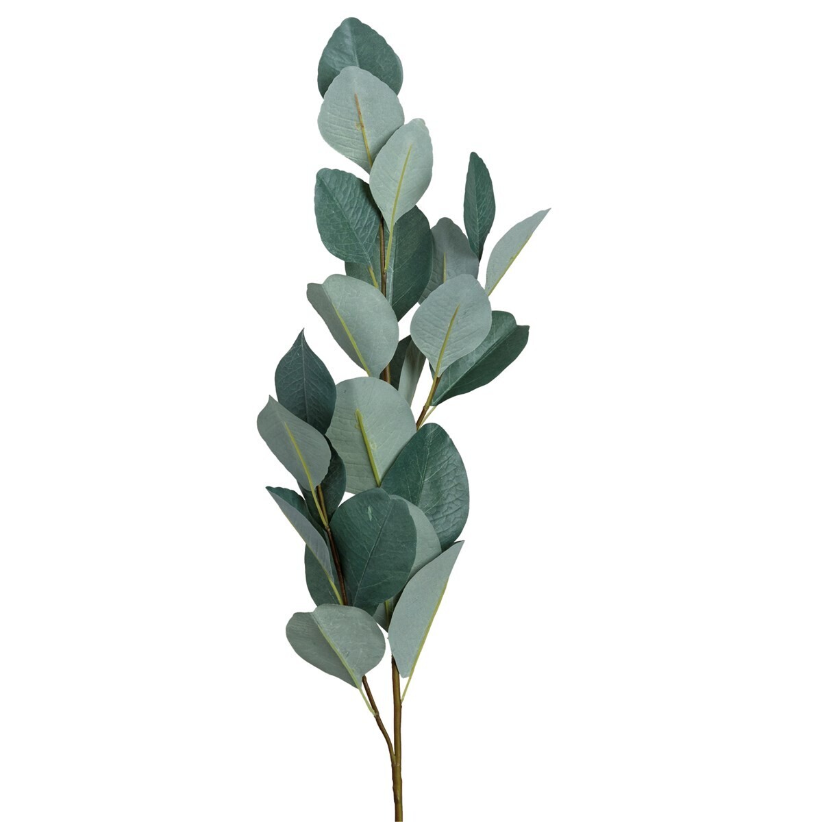 Tall Eucalyptus Pick