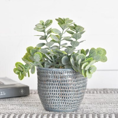 Greenery In Blue Line Pot