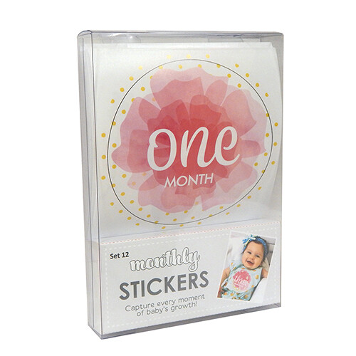 Pink Monthly Sticker Set