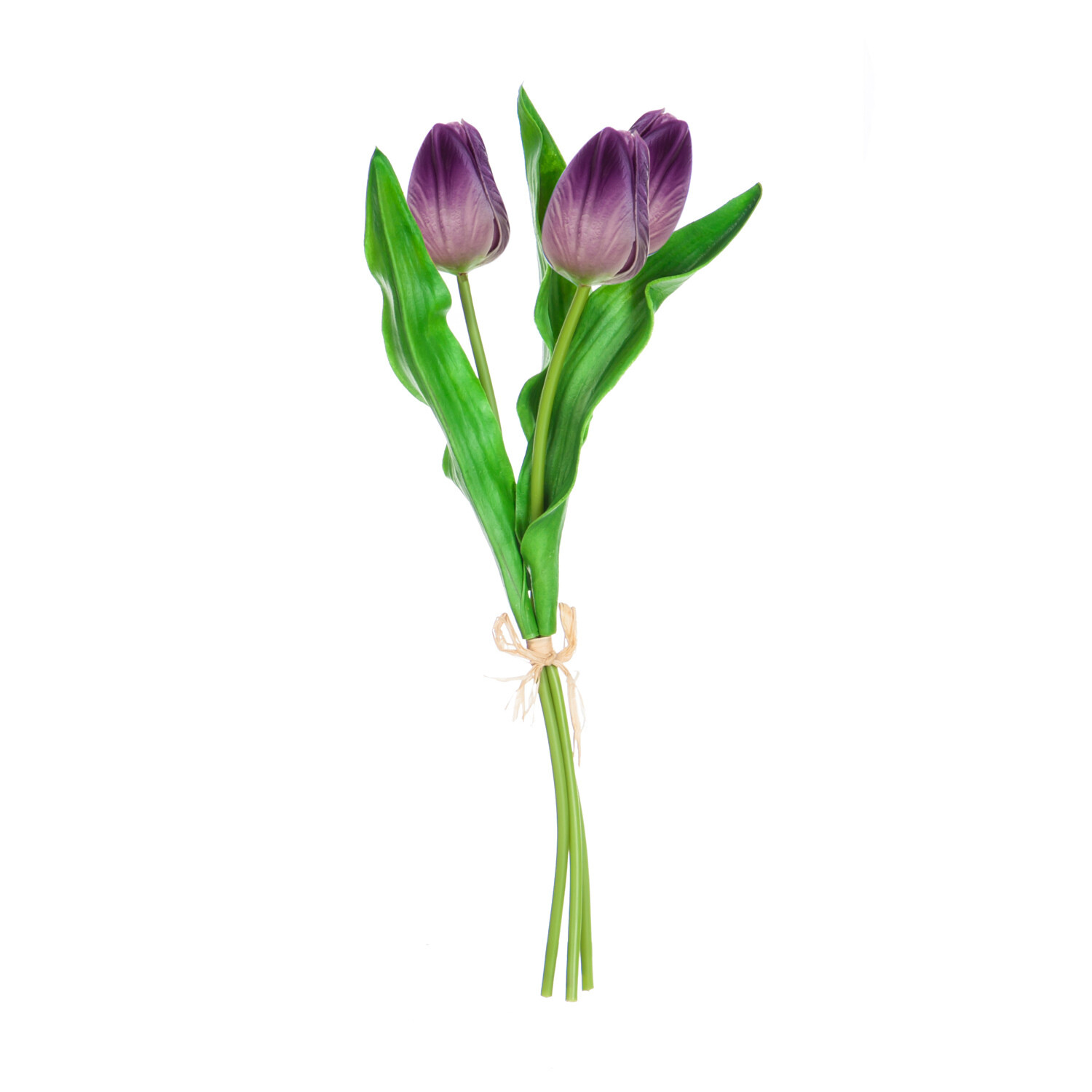 Mini Purple Tulips