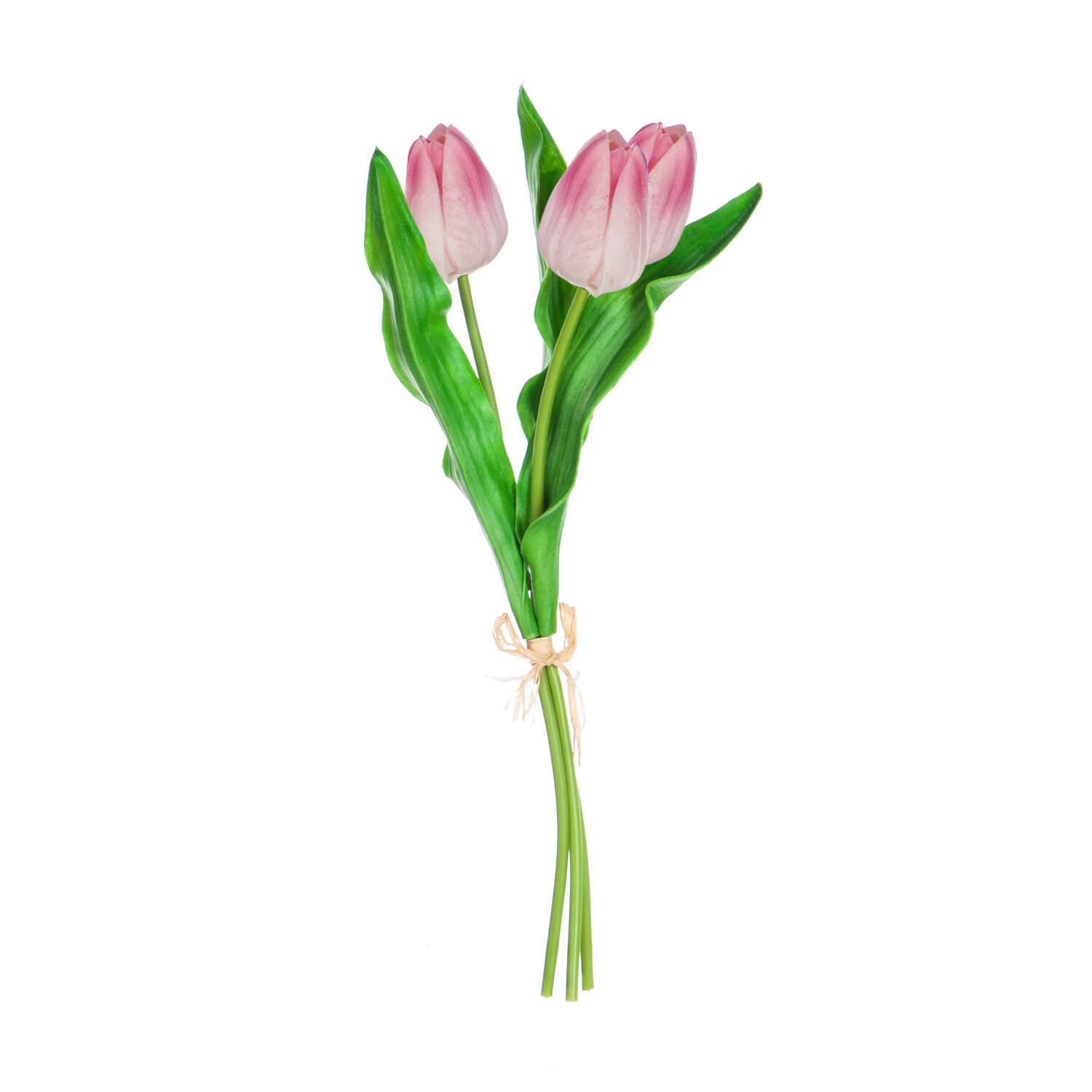 Mini Pink Tulips
