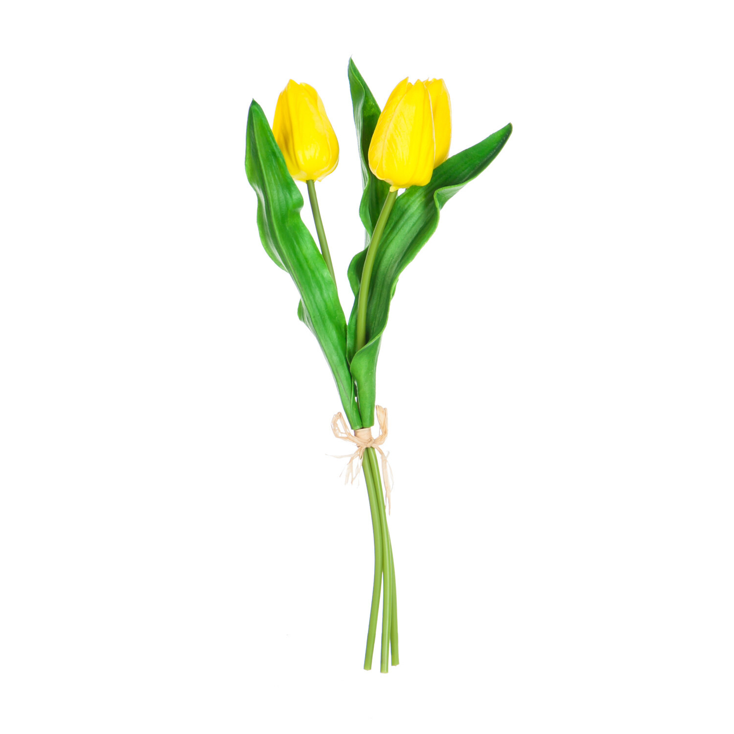 Mini Yellow Tulips