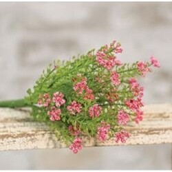 Pink Astilbe Bush