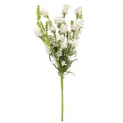 White Obedient Flower Pick