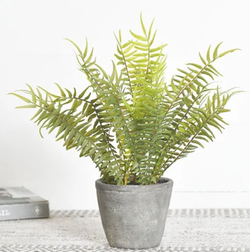 Cement Potted Fern