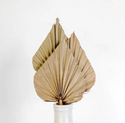Natural Palm Spear Stem Bunch
