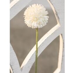 White Pom Pom Flower Stem