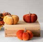 Warm Colored Pumpkin Set