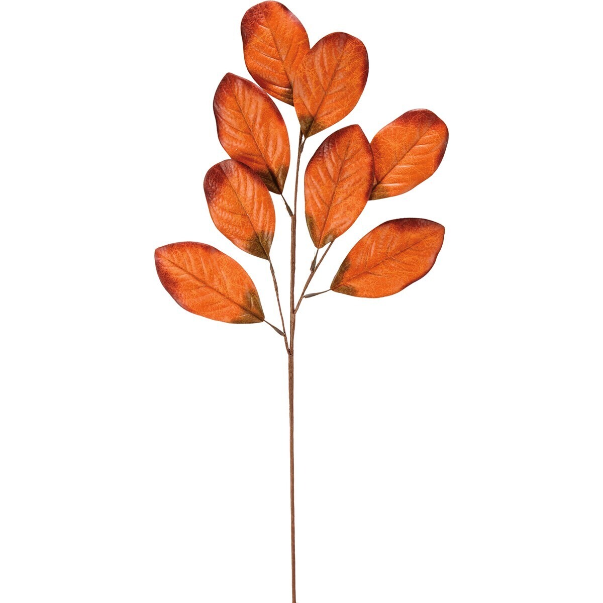 Orange Leaf Stem