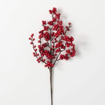 Tall Red Berry Stem