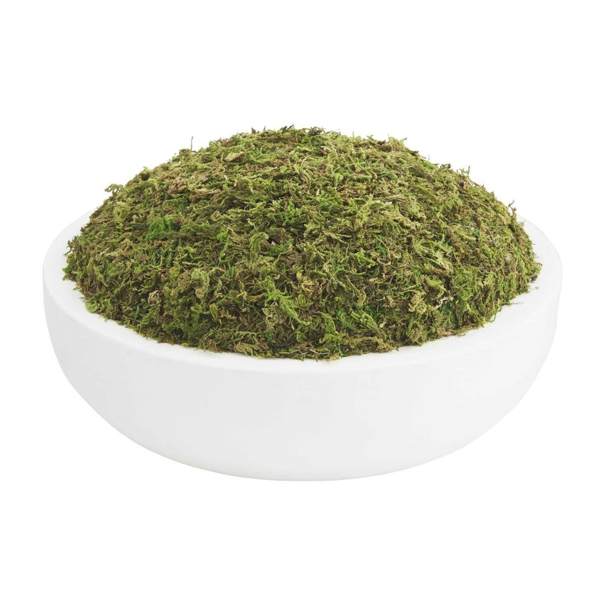 Preserved Moss Bowl