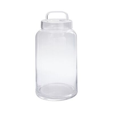 Tall Clear Glass Novalie Jar