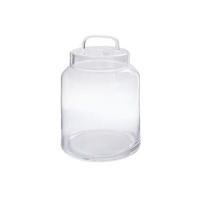 Clear Glass Novalie Jar