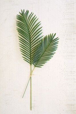 Lg Palm Leaf Bundle