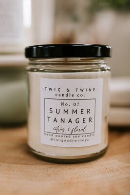 9oz Summer Tanager Candle
