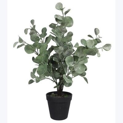 Artificial Eucalyptus Pot