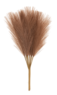 Brown Reed Grass Pick