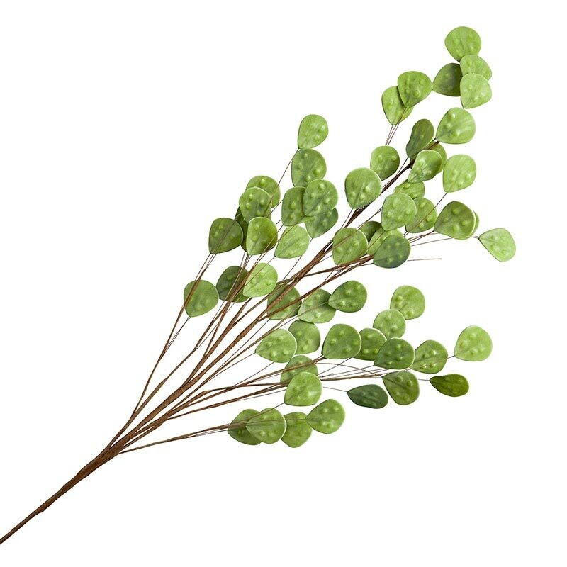 Tall Green Seeded Floral Stem