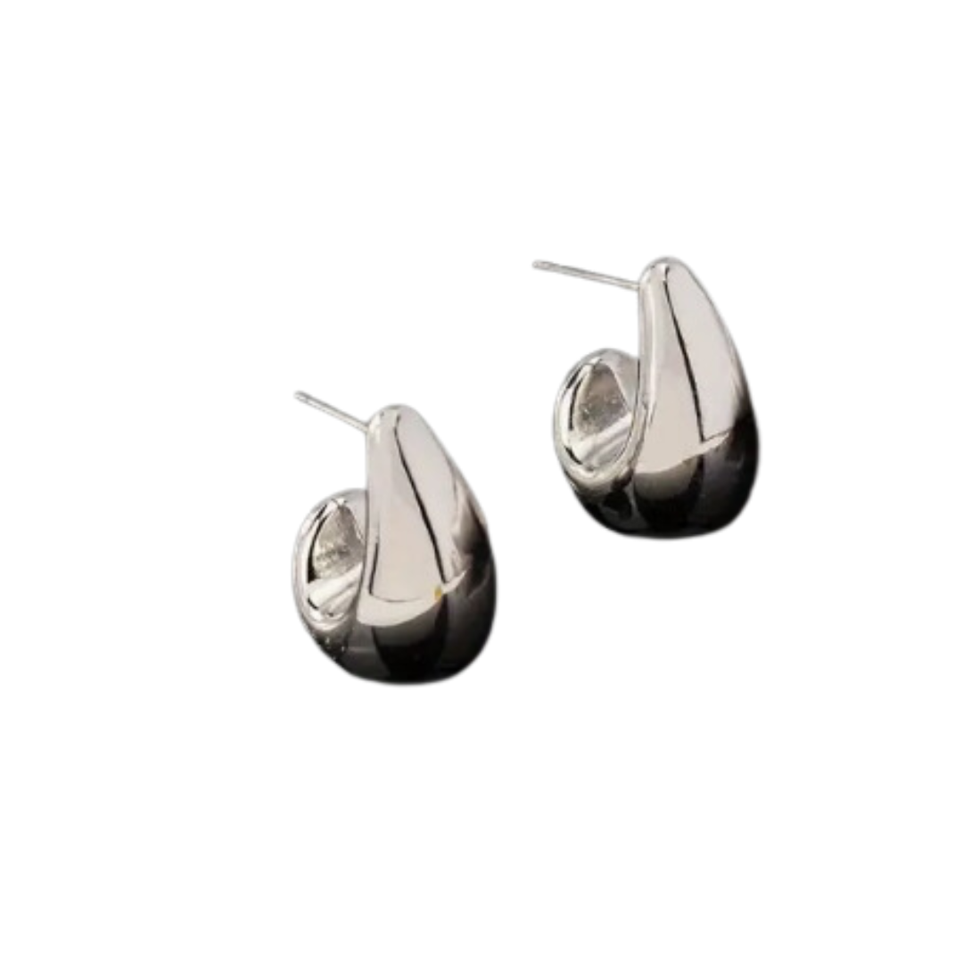 Shiny Silver Teardrop Earrings