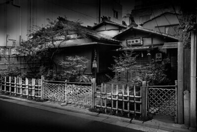 The Light of Tokyo