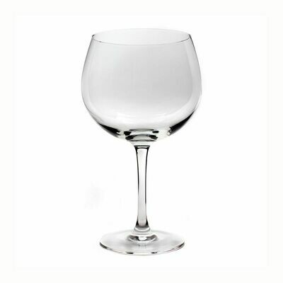 Set de 4 Copas de Gin Modelo Ladies Night