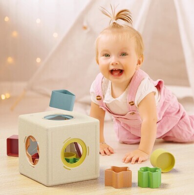 Kubo Shape Sorter Play Bio