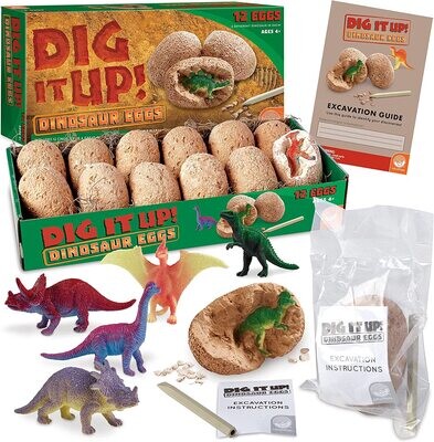 Dig it Up! Dinosaur Eggs