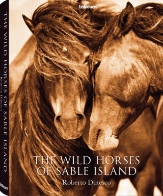 Wild Horses Of Sable Island