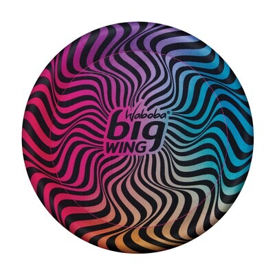 Bigwing Frisbee Multicolor
