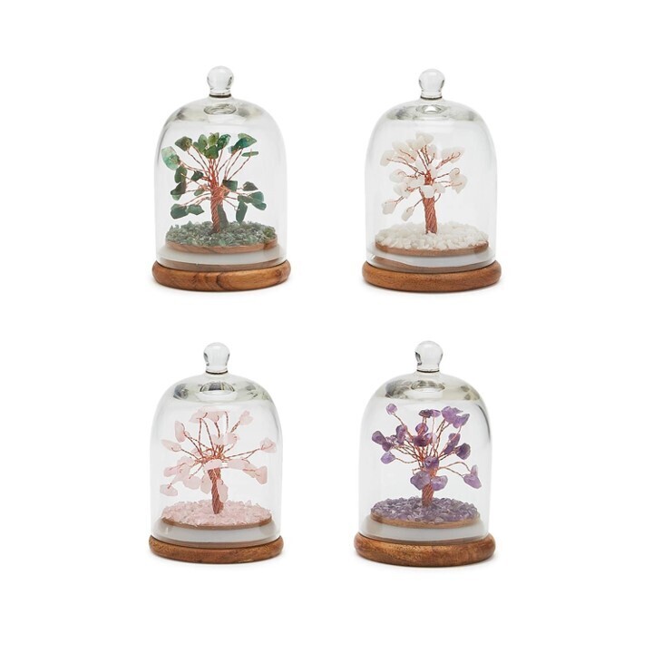 Wishing Tree Under Glass