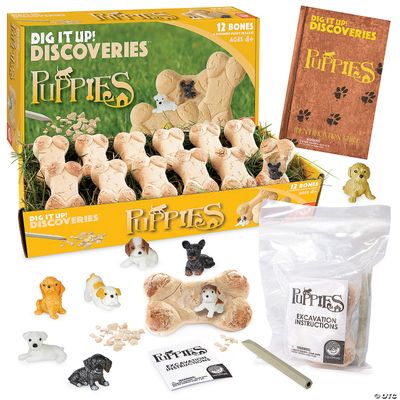 Dig it Up! Puppies Discoveries