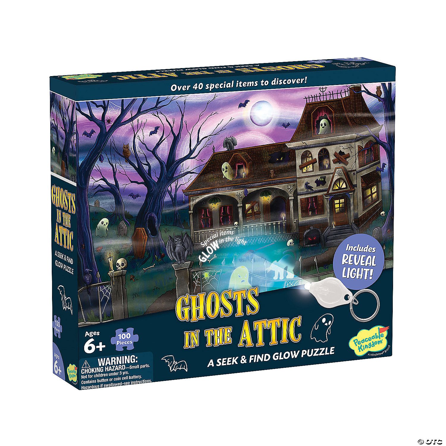 Rompecabezas de 100 Piezas Ghost in the Attic Seek and Find