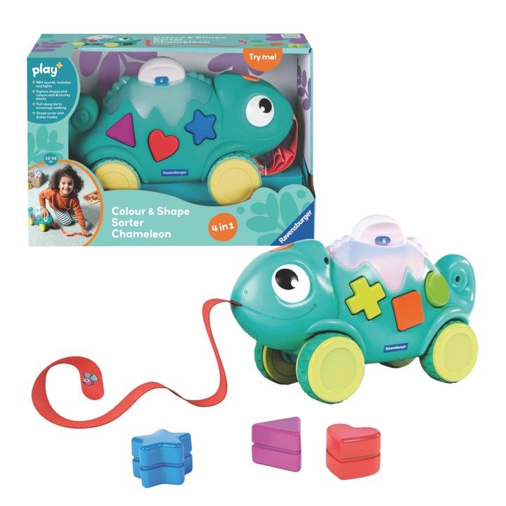 Color &amp; Shape Sorter Chamaleon