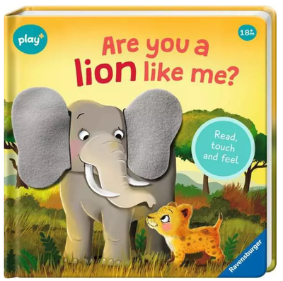 Are You a Lion Like Me? Book