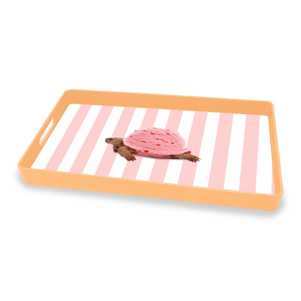 Bandeja Rectangular Turtle