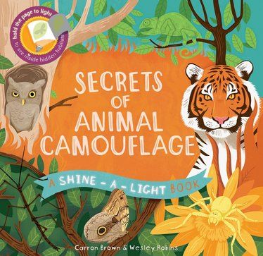 Shine a Light Secrets of Animal Camouflage