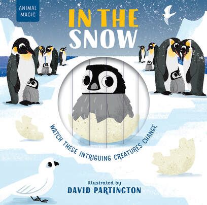 In the Snow Animal Magic