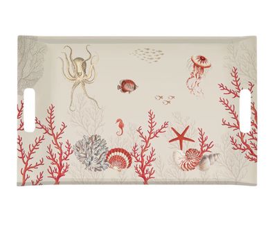 Tray with handles 54 x 35