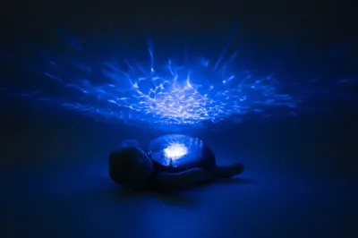 Tranquil Turtle - Aqua (Recargable)
