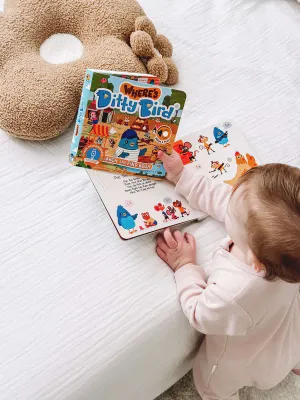 Where's Ditty Bird Libro Musical - USB-C