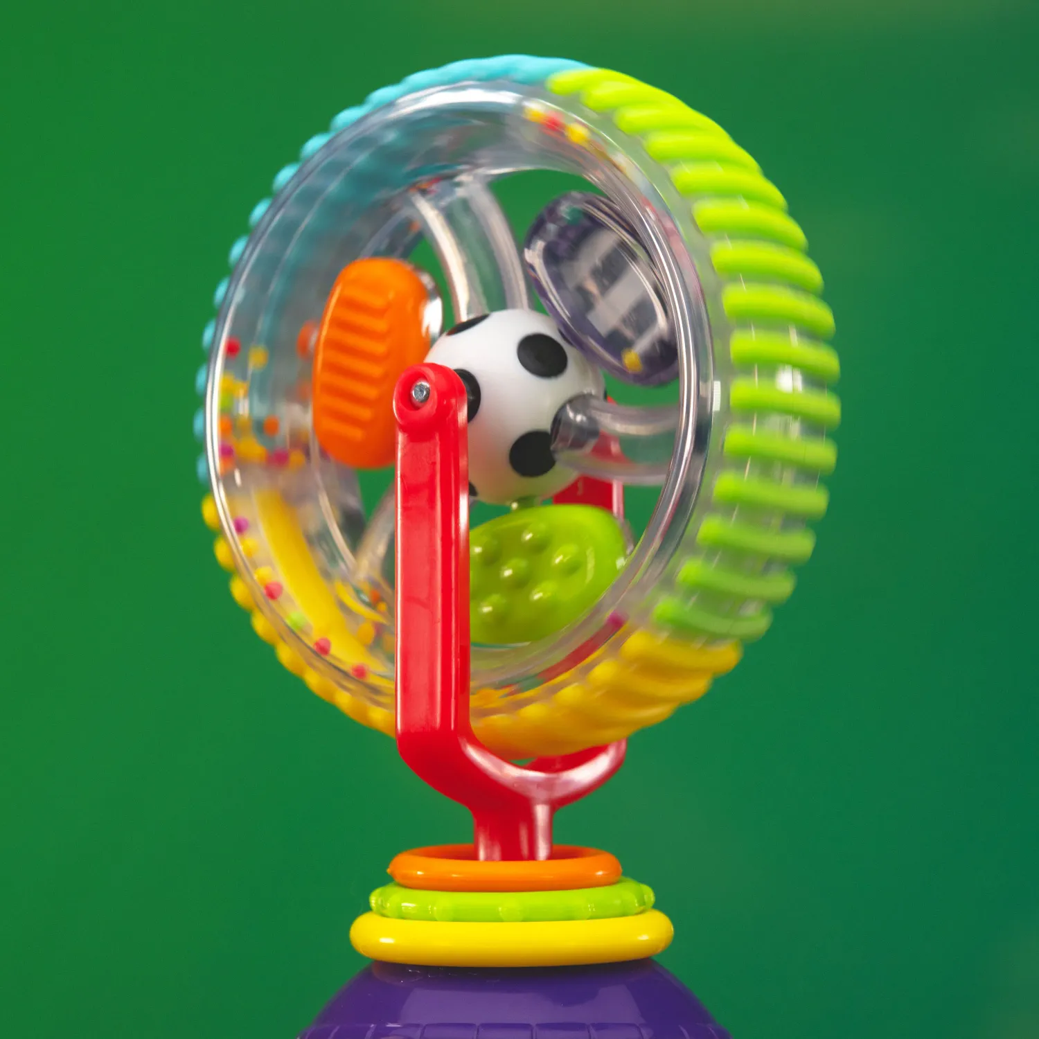 Wonder Wheel con Suction Cup