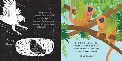 Shine a Light En la Selva Tropical