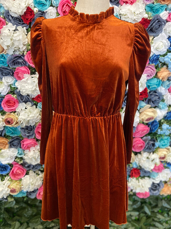  Velvet Cinched Waist Dress