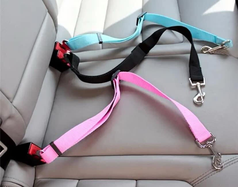 Doggie Seatbelt*