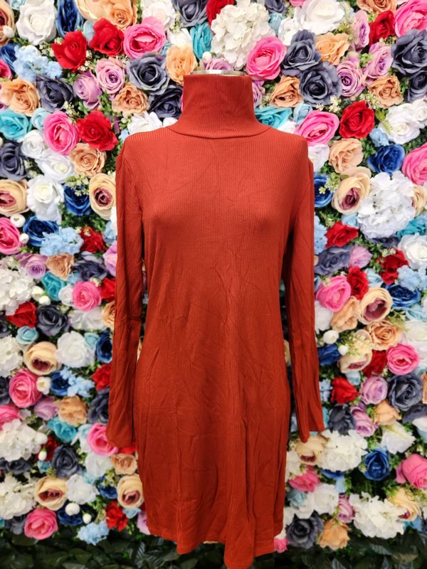 Ribbed Turtleneck Lone Sleeve Dress
